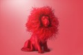 SmartFit PLA Topaz Red.jpg