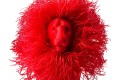 SmartFit PLA Topaz Red 2.jpg