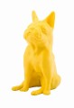 Lemon Drop.jpg
