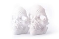 Polar-White-HQ-scaled.jpg