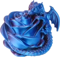 2.1 Red Blue.png